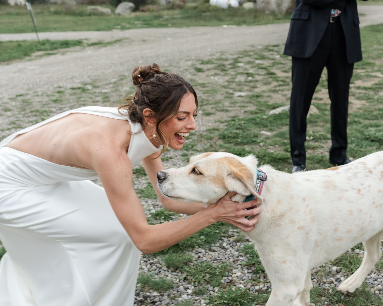 A person in a wedding dress bends down to pet a light-colored dog on a dirt path.