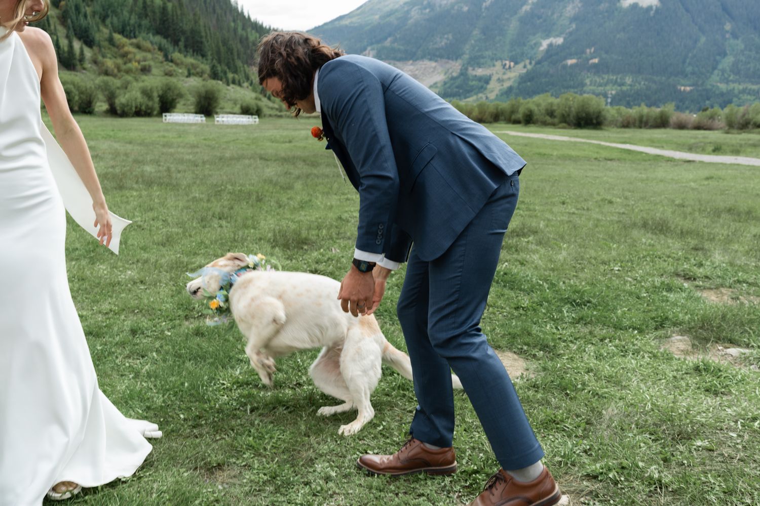 Person in navy suit bends down to pet white dog on grassy field.