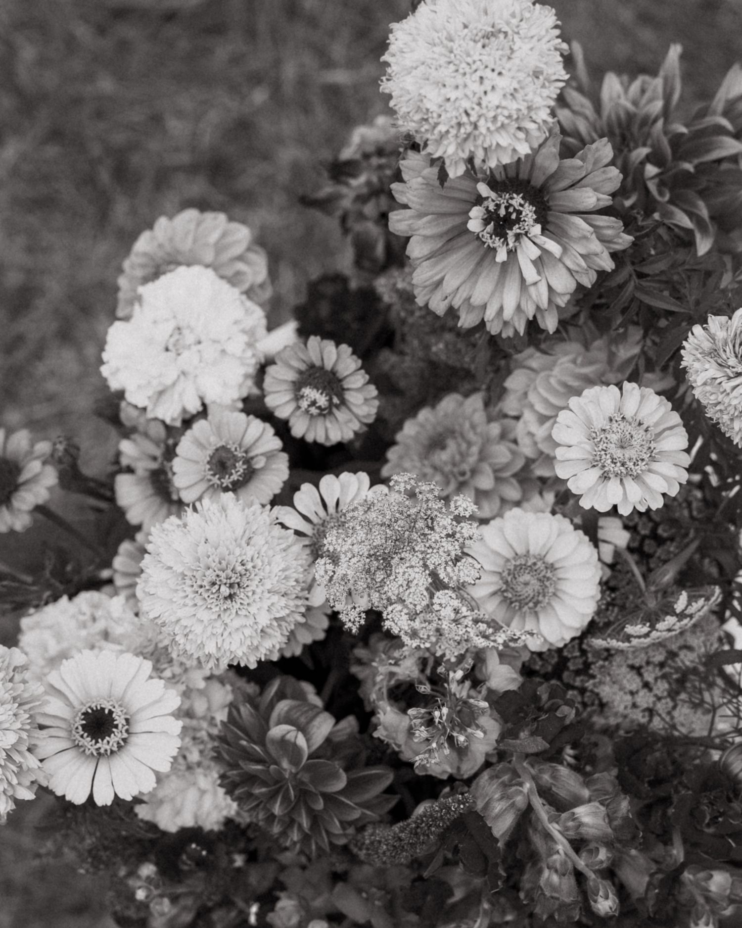 Black and white photograph of a bouquet featuring dahlias and other mixed flowers.