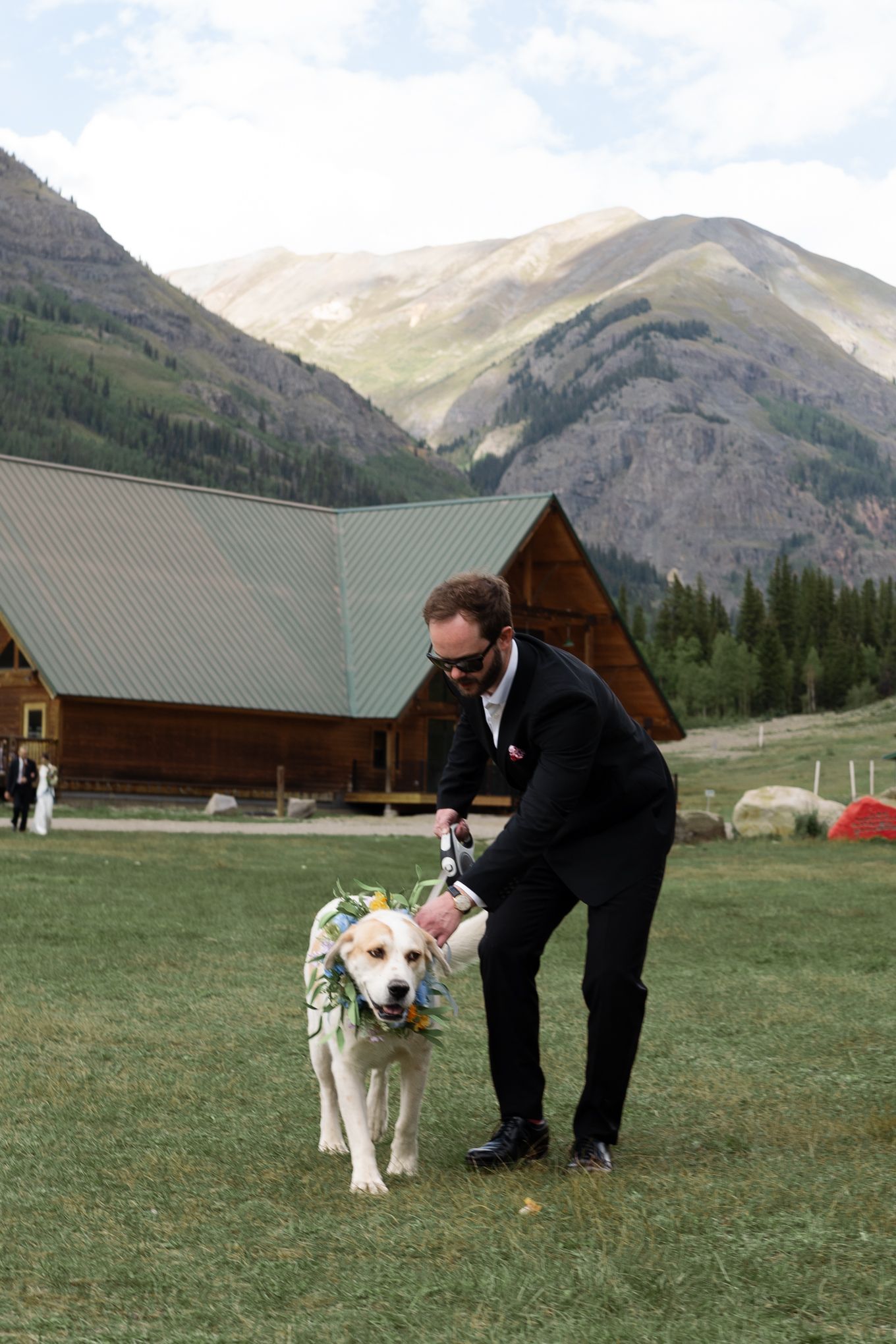 White dog wearing floral collar walks with wedding guest on mountain lawn near log cabin.
