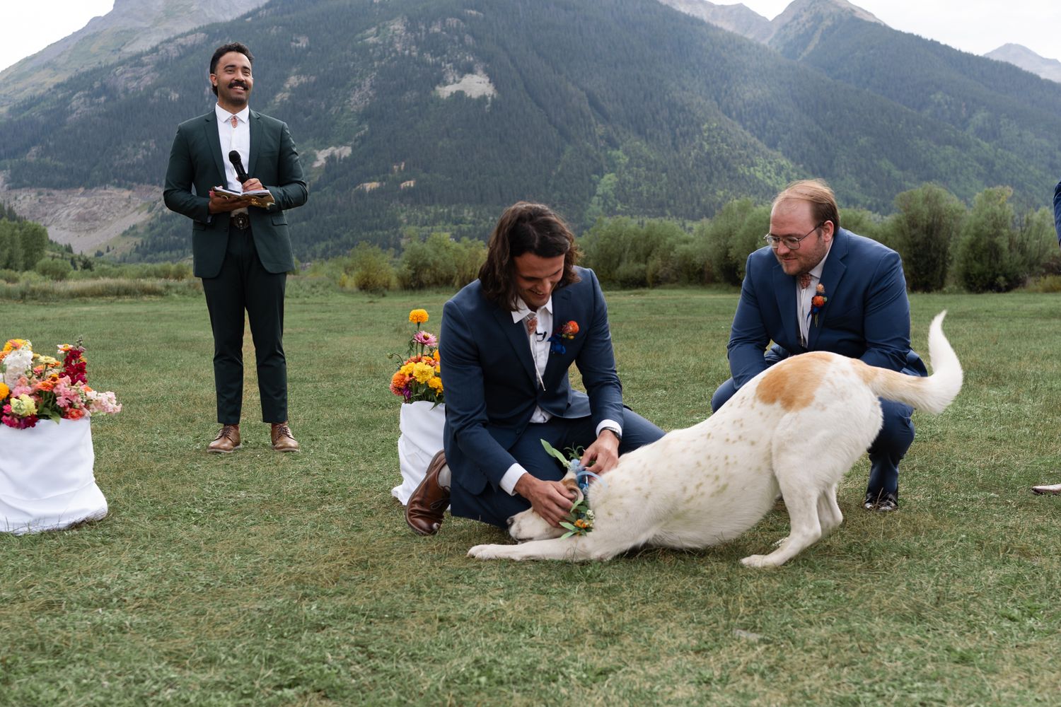 Wedding party members play with white dog on grass with mountains in background.