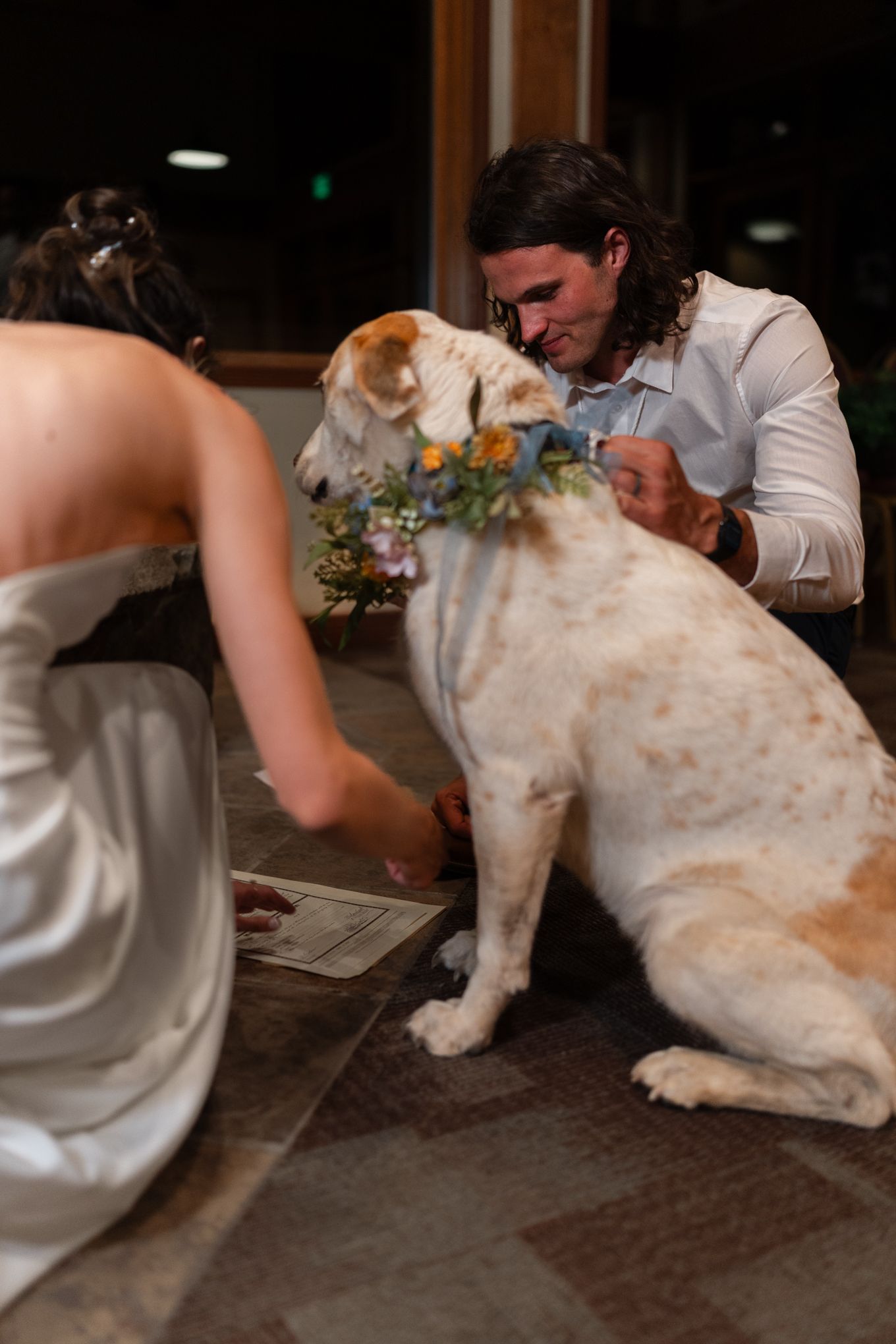 A large cream and tan dog interacts with wedding couple sitting on the floor during a celebration.