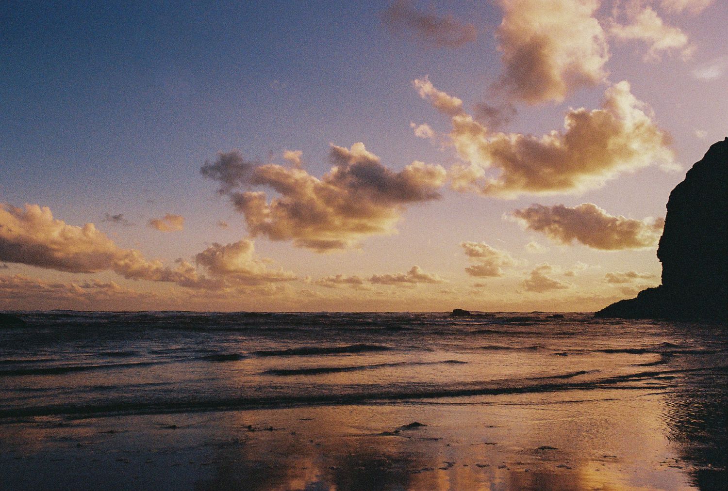 Dramatic golden sunset illuminates clouds and reflects on wet beach sand with dark cliffs silhouetted against the horizon in New Zealand