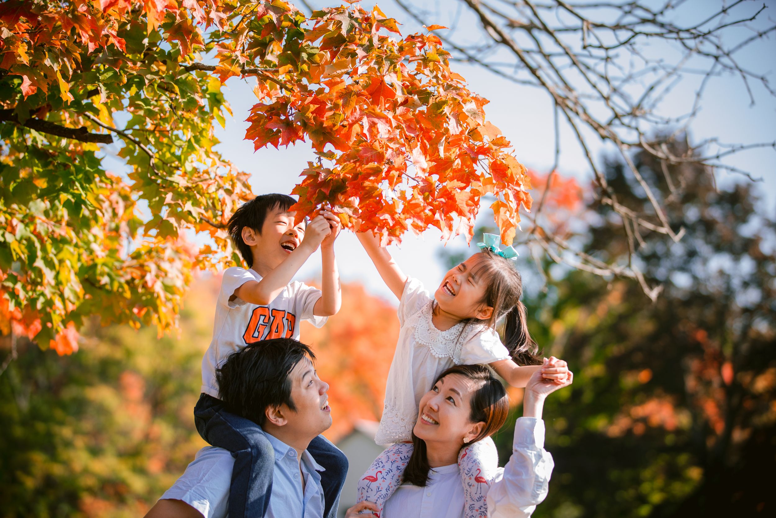 A loving family enjoys quality time together under vibrant autumn maple trees with golden orange leaves in the background.