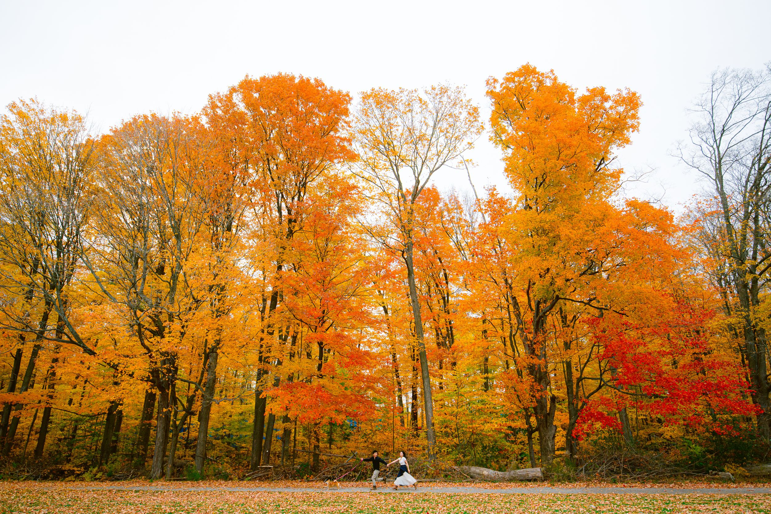 A couple sits on a bench surrounded by vibrant orange and red autumn foliage in a scenic forest setting.