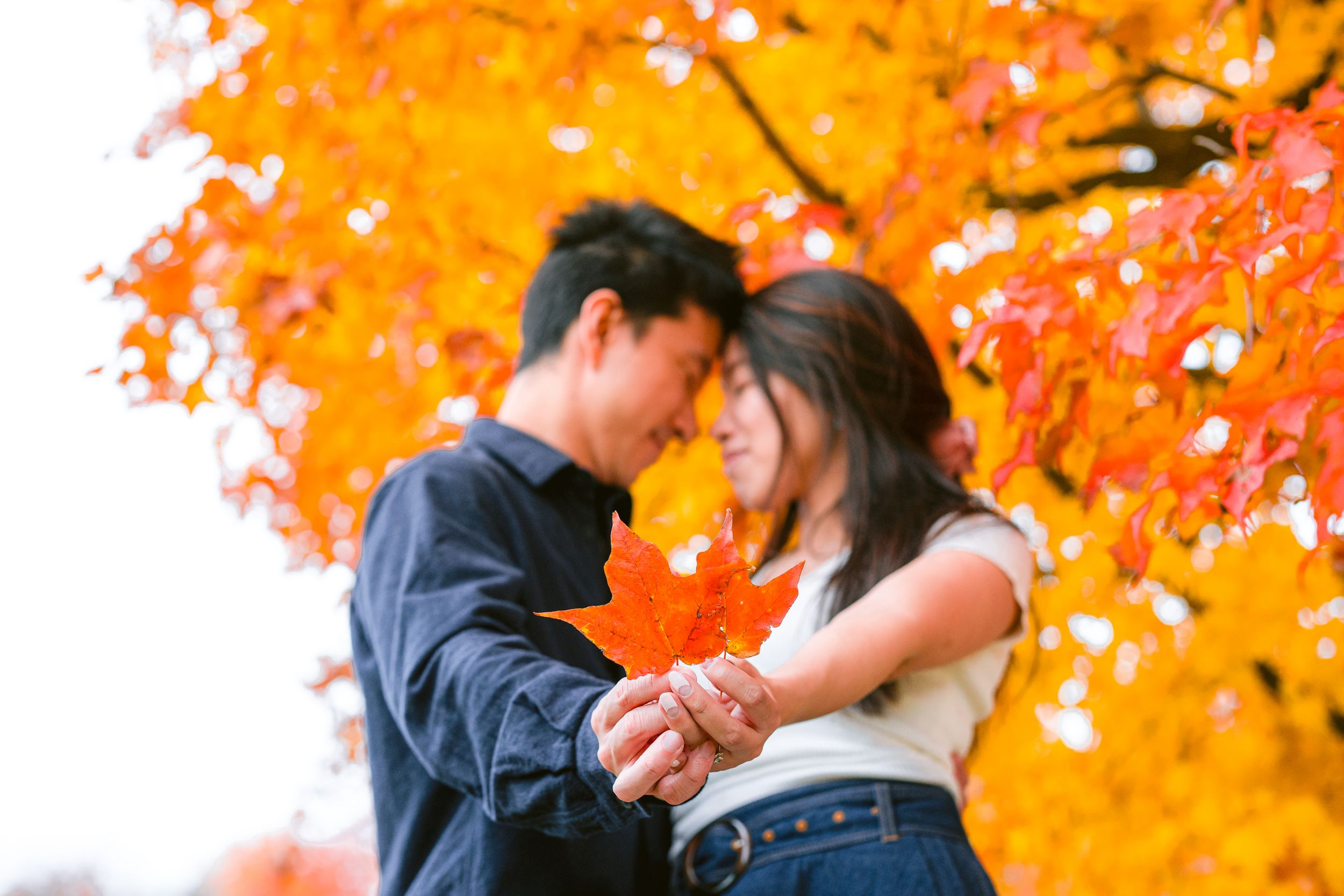 A couple embraces beneath bright orange fall foliage during an autumn day.