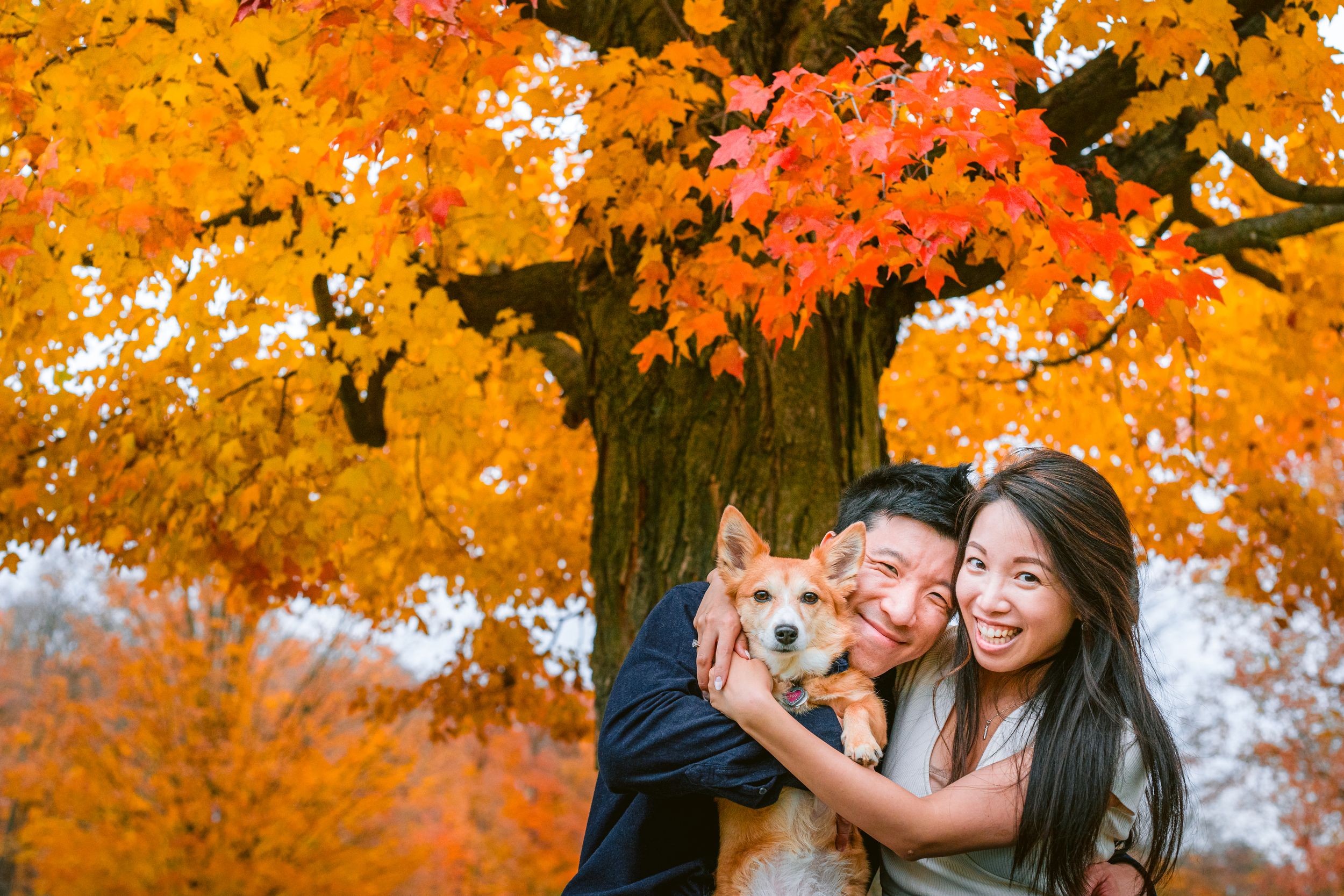 Couple outdoors with pet dog enjoying vibrant fall foliage scene with orange and red maple leaves in autumn.
