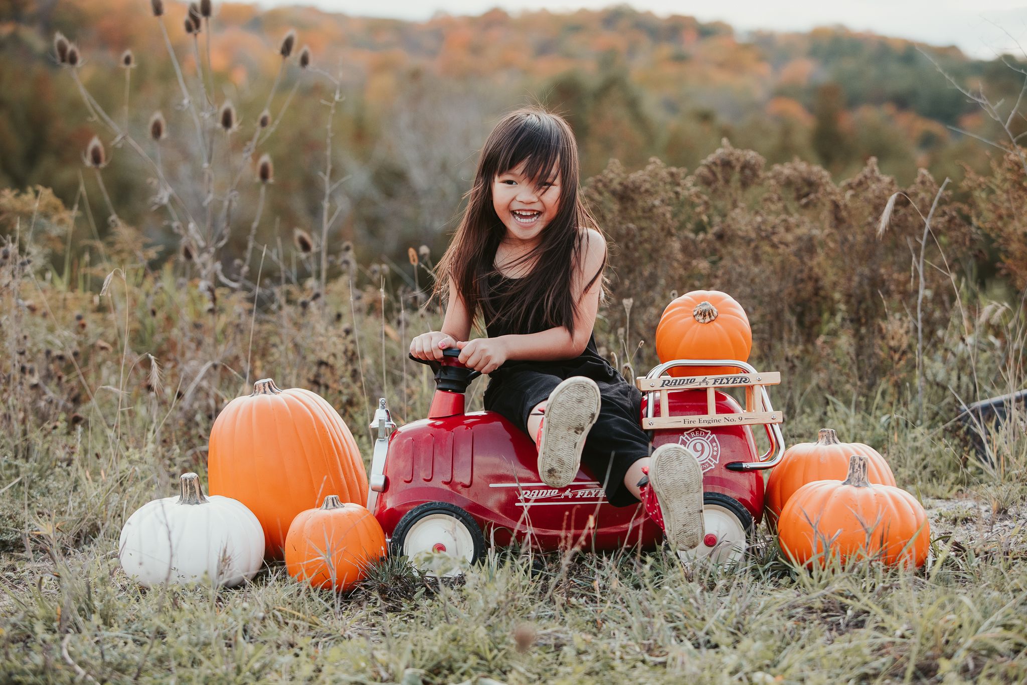 Vintage red pedal tractor surrounded by orange and white pumpkins in a rustic autumn field scene.