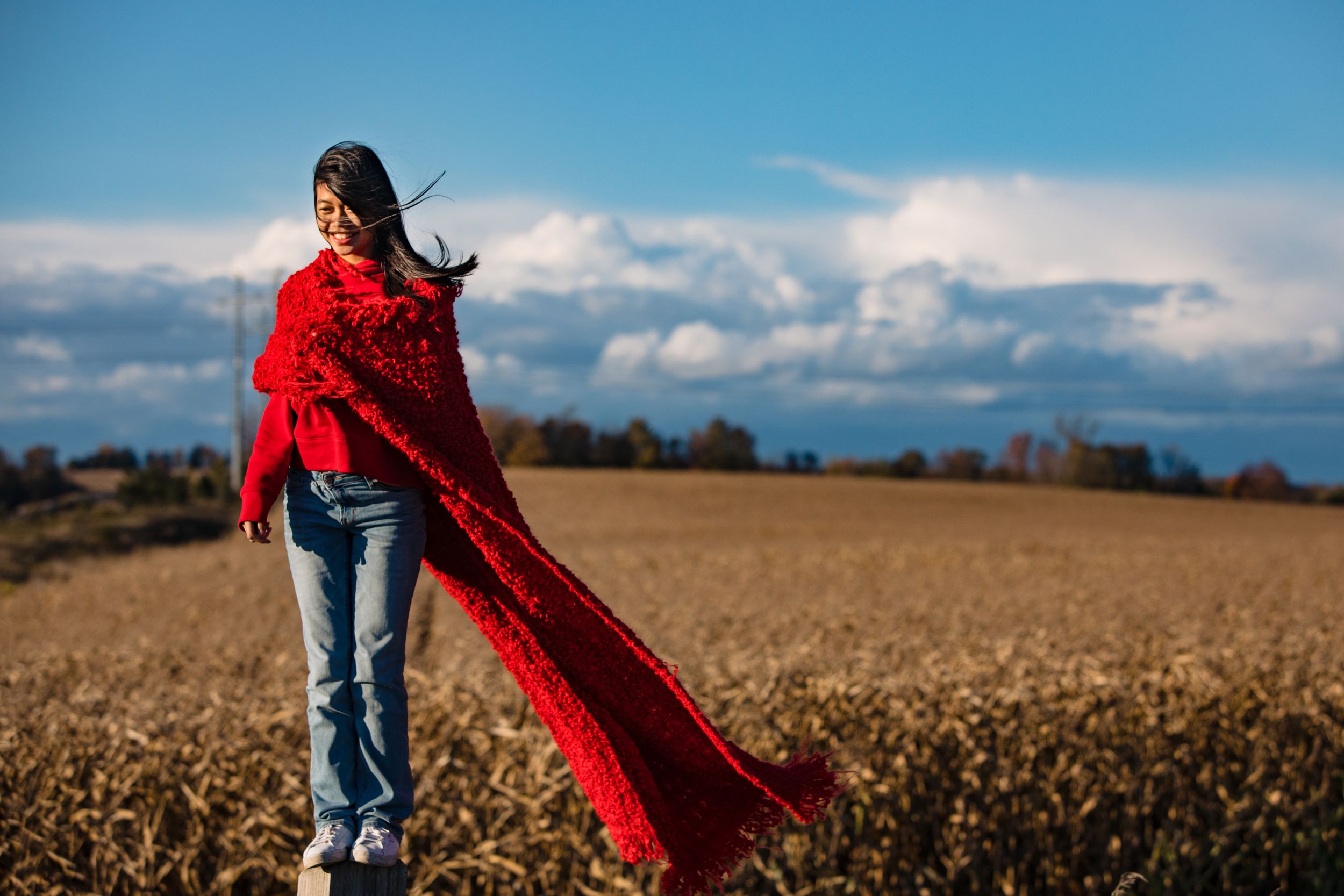 A red flowing scarf billows dramatically in the wind across a golden wheat field under cloudy blue skies.