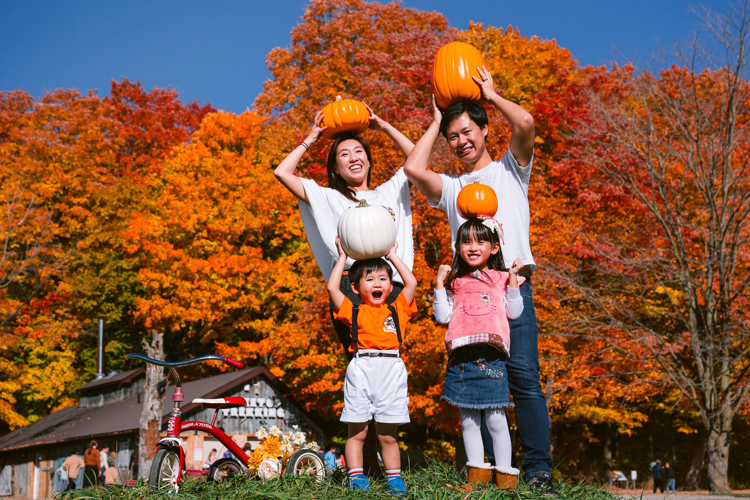 A family poses holding pumpkins in front of vibrant orange autumn foliage on a bright fall day.
