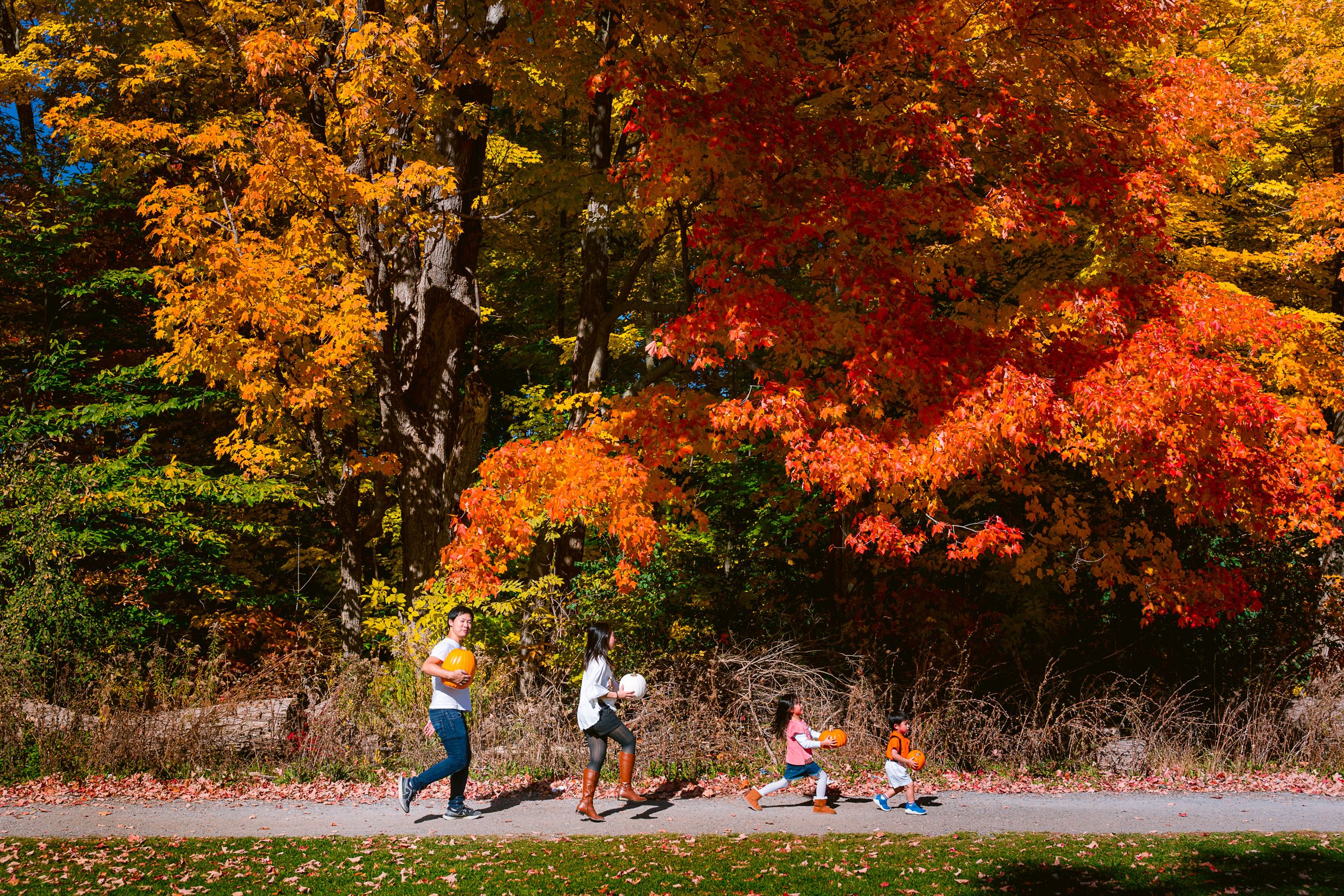 Picnickers enjoy a fall afternoon under vibrant red and orange autumn foliage along a park pathway.