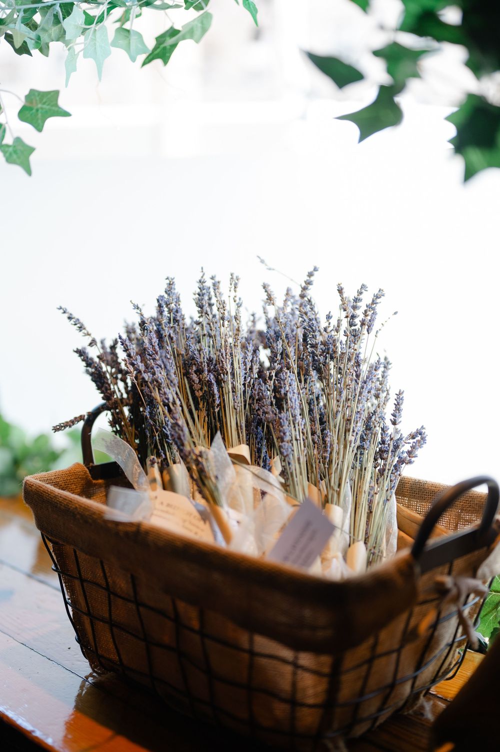 Dried lavender bundles arranged in rustic wire basket on wooden surface with greenery overhead.
