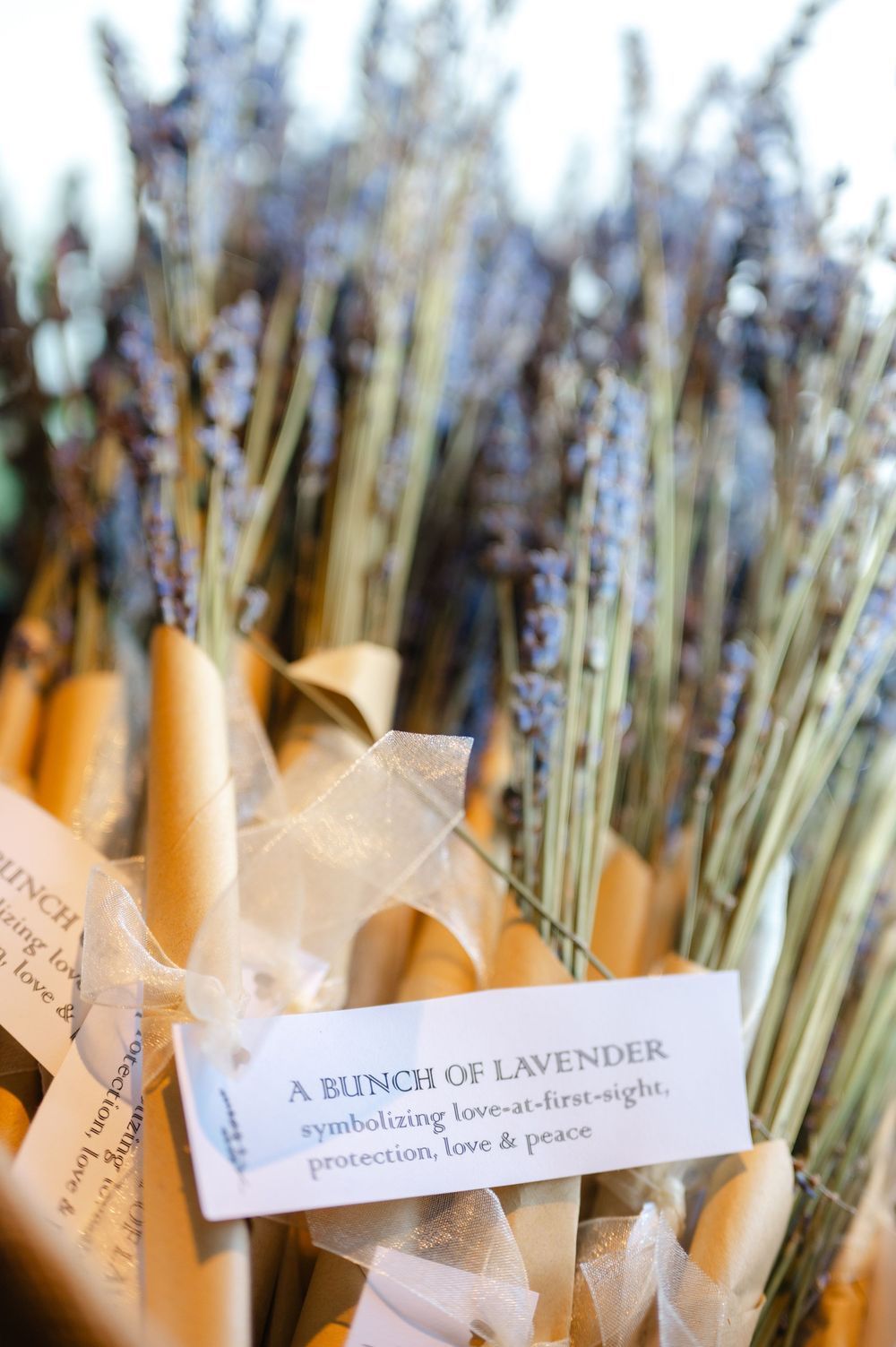 Bundles of dried lavender sprigs with labels reading 'A Bunch of Lavender' displayed for sale.