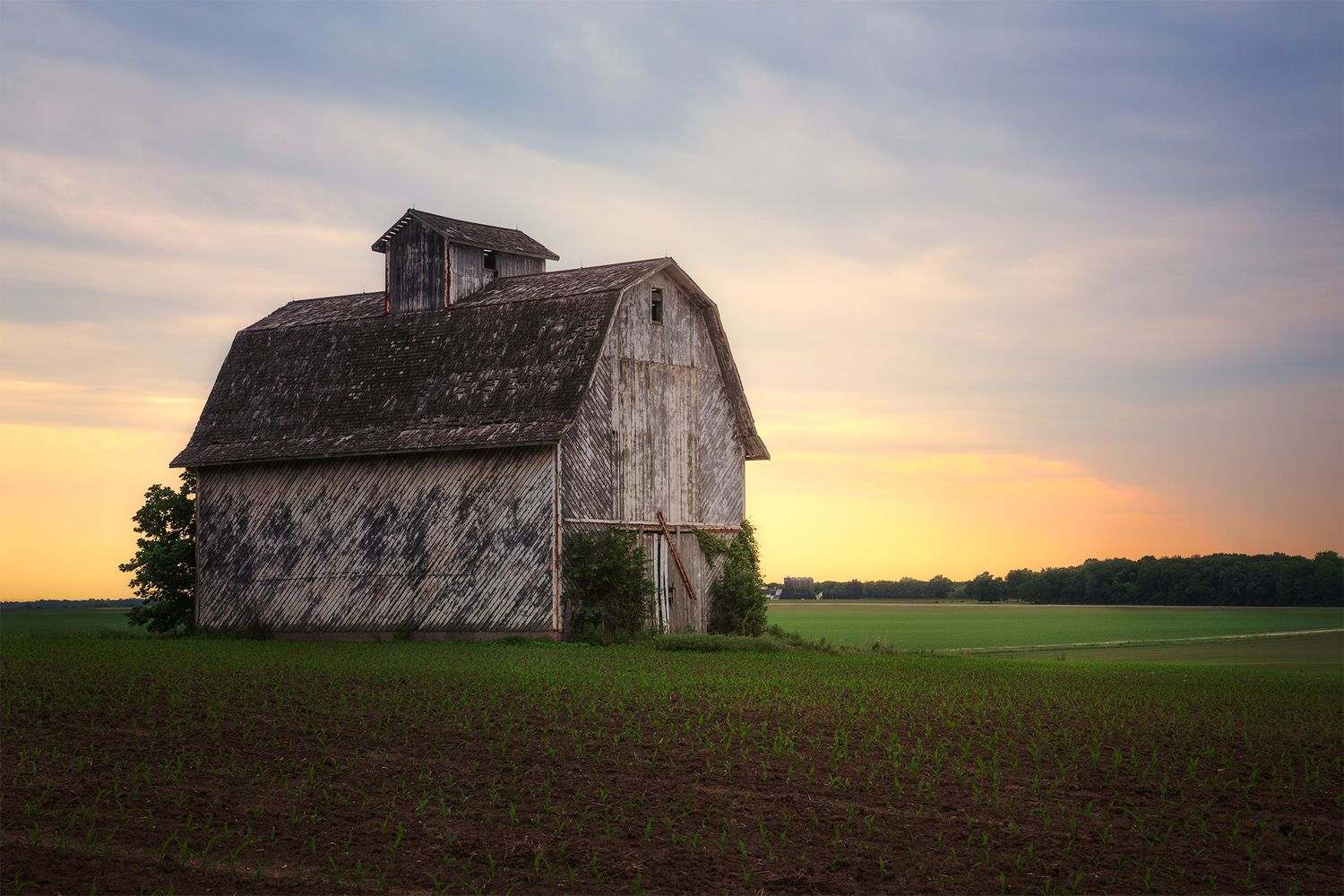 Weathered wooden barn silhouetted against golden sunset in rural farmland.