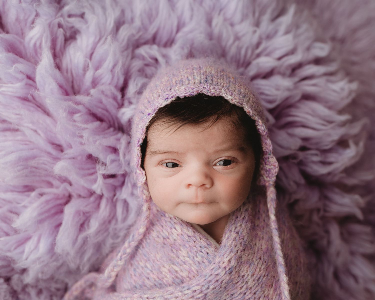 Professional photo of a newborn baby wrapped in purple