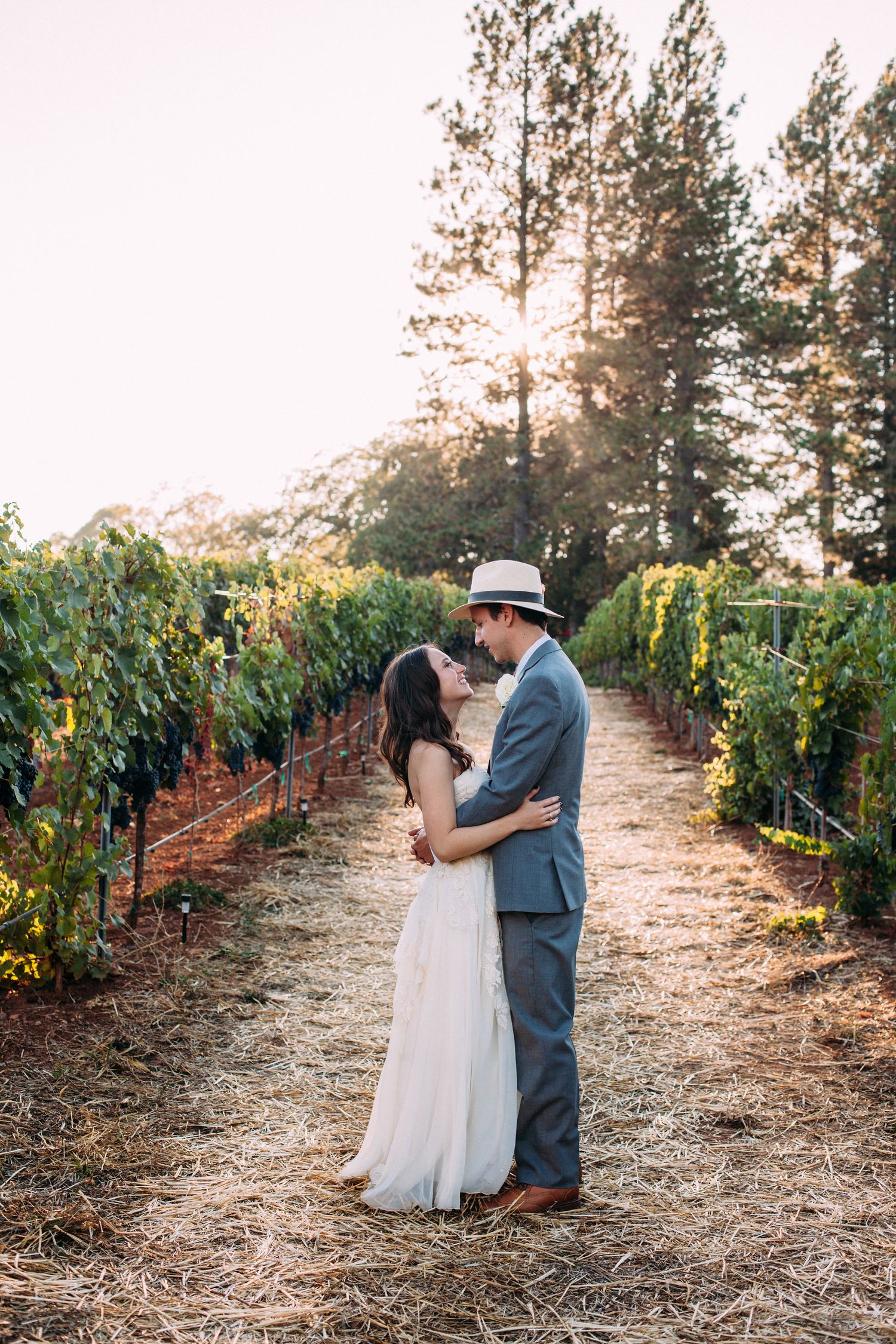 Romantic elopement portrait of a couple embracing in a vineyard at sunset, with soft light and lush greenery surrounding them.