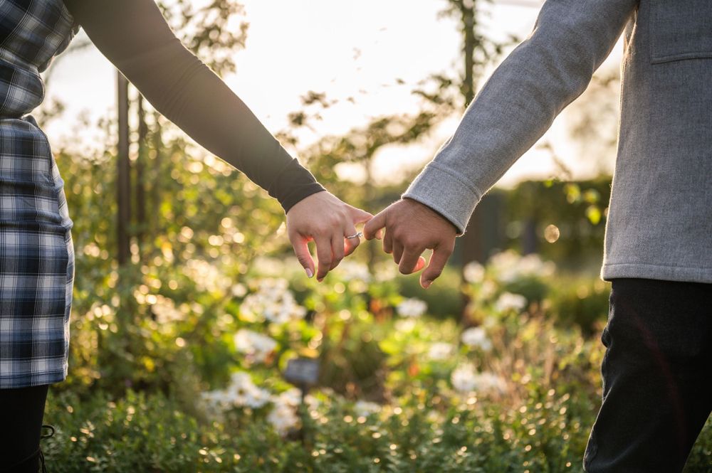 summer engagement cantigny park sunset holding hands