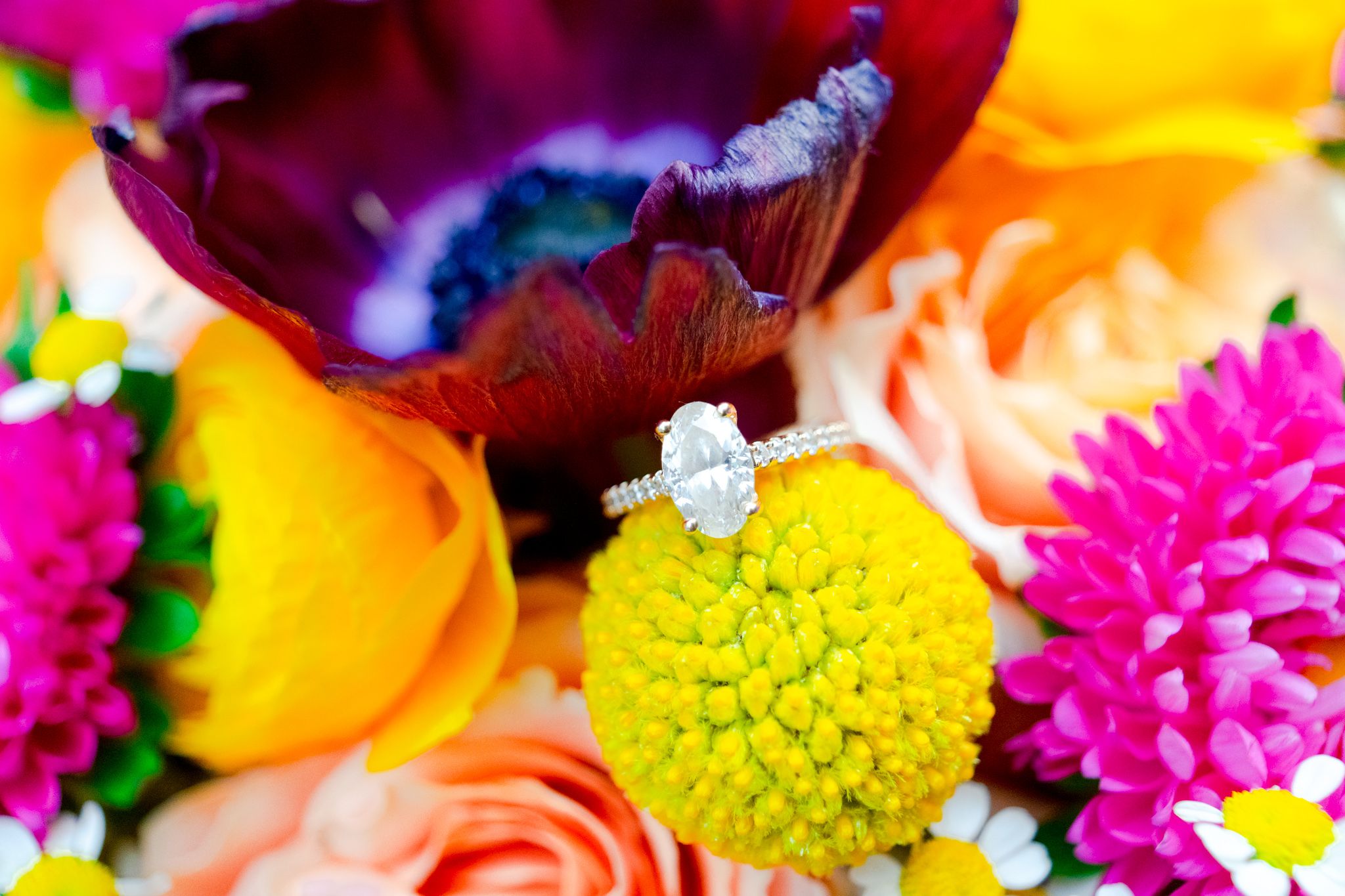 oval engagement ring in colorful bouquet of yellow, pink, and purple flowers for chicago engagement pictures