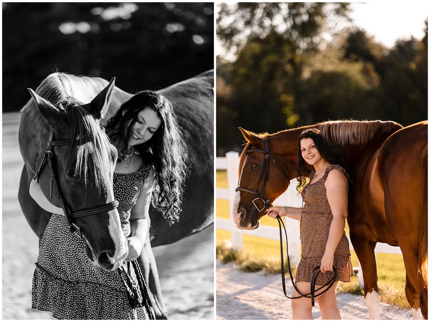 horse and rider artistic portraits cloverfield farm