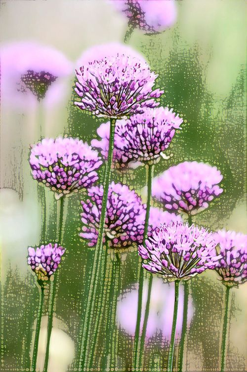 fort-wayne-photographers-photography-art-urban-1018-ca8c63b0