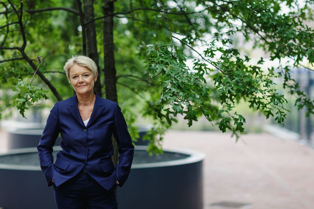 Businessportrait Schleswig Holstein