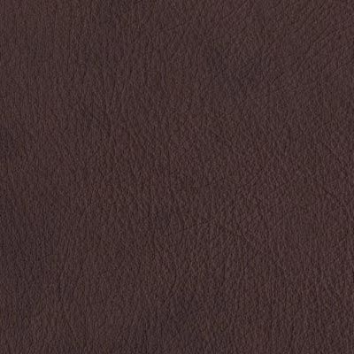 dark brown distressed leather album colour swatch