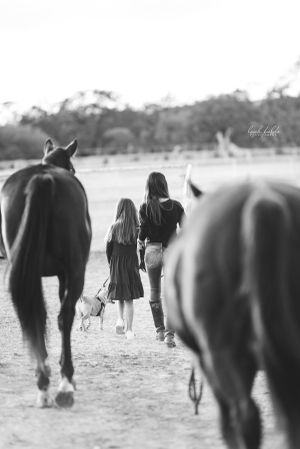 Hill Country Equine Photography