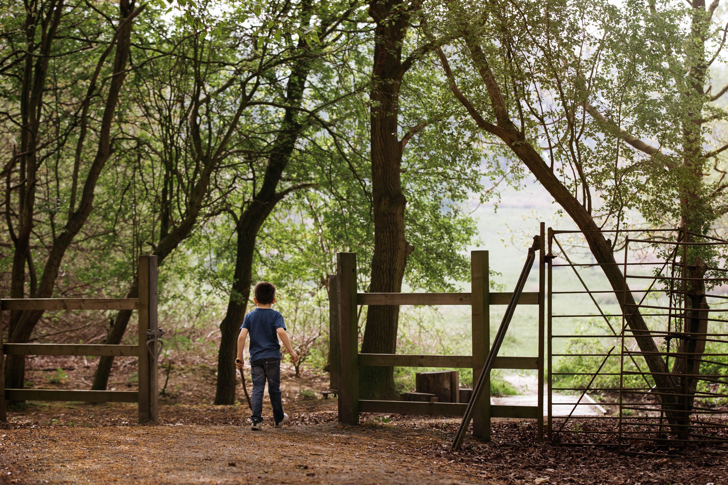 boy walking through old wooden gate fence in forest