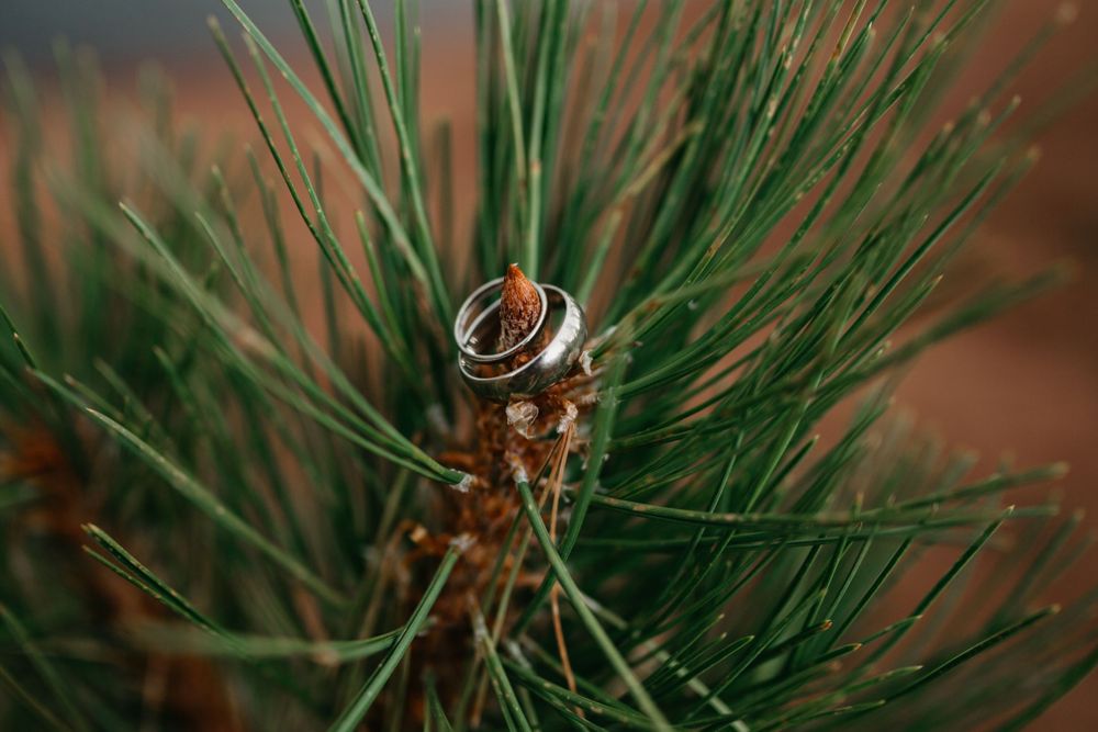 mountain wedding, rings, small wedding, colorado wedding ideas, pine, fun, unique, elope colorado, best of co weddings