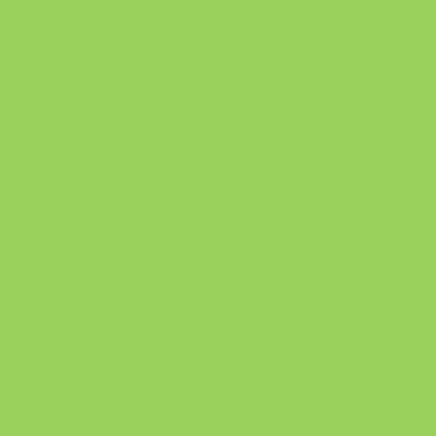 Lime Touch Album Colour Swatch