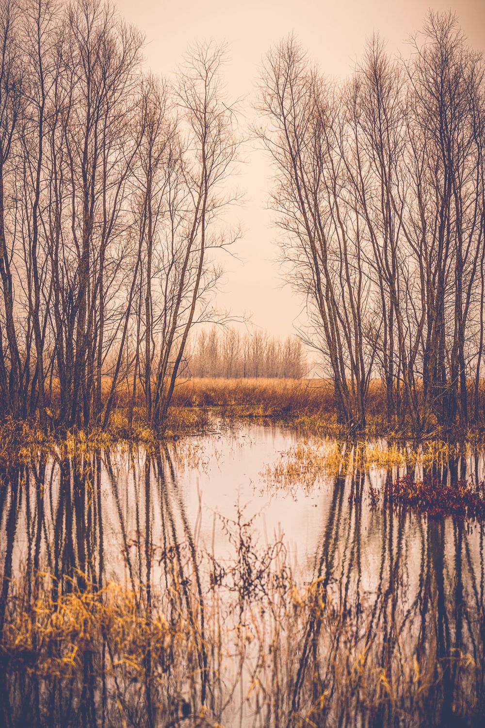 The gate way