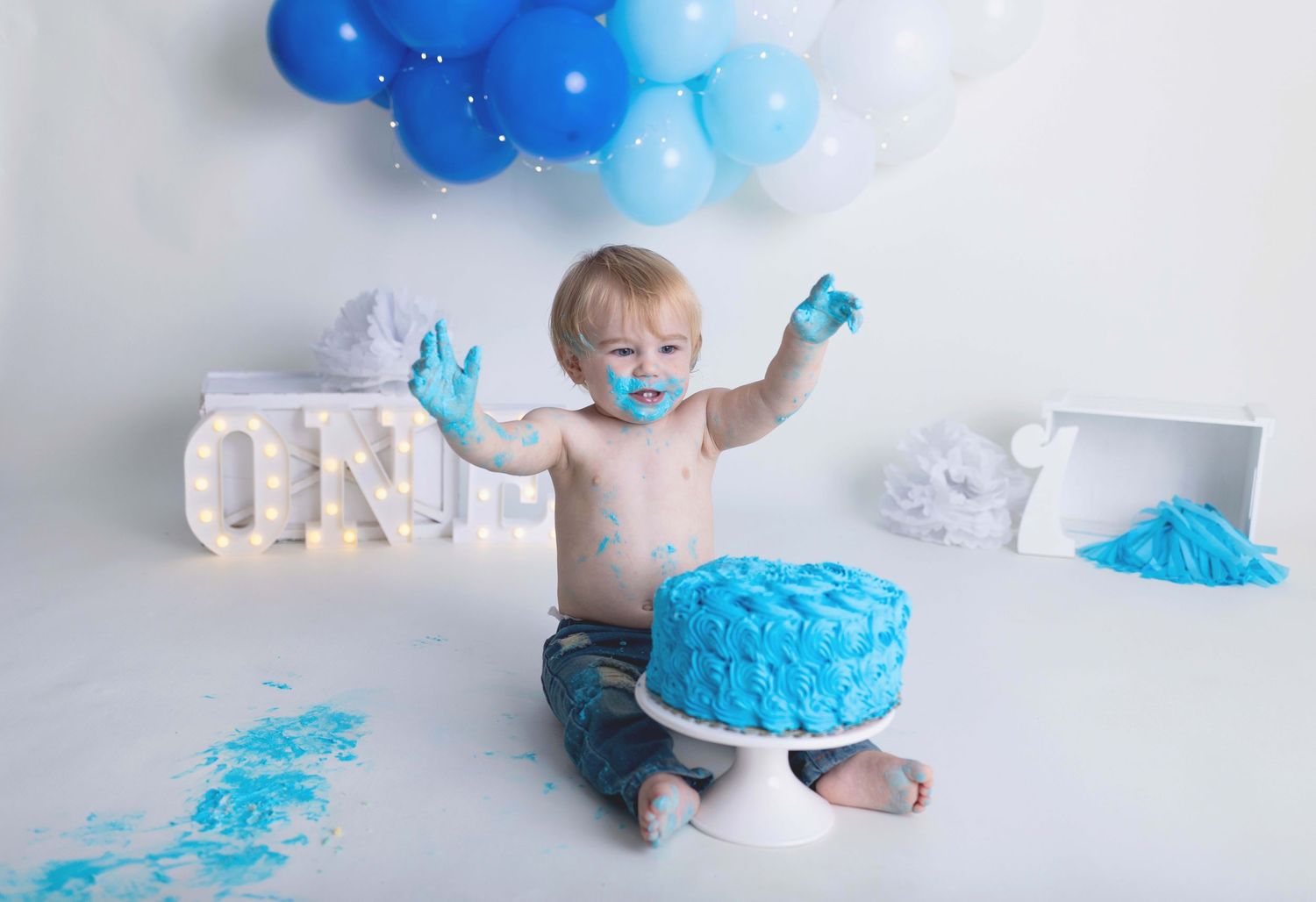 Cakesmash Photographer, Waukesha, Hartland, Milwaukee, Sussex, WI