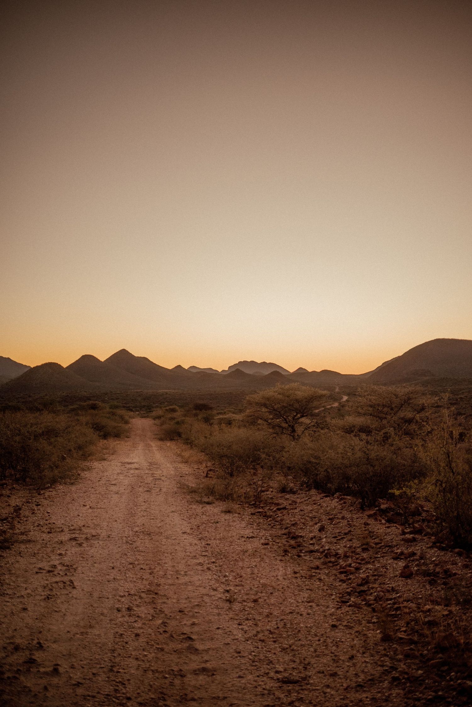 A desert path leads towards mountain silhouettes during golden hour.