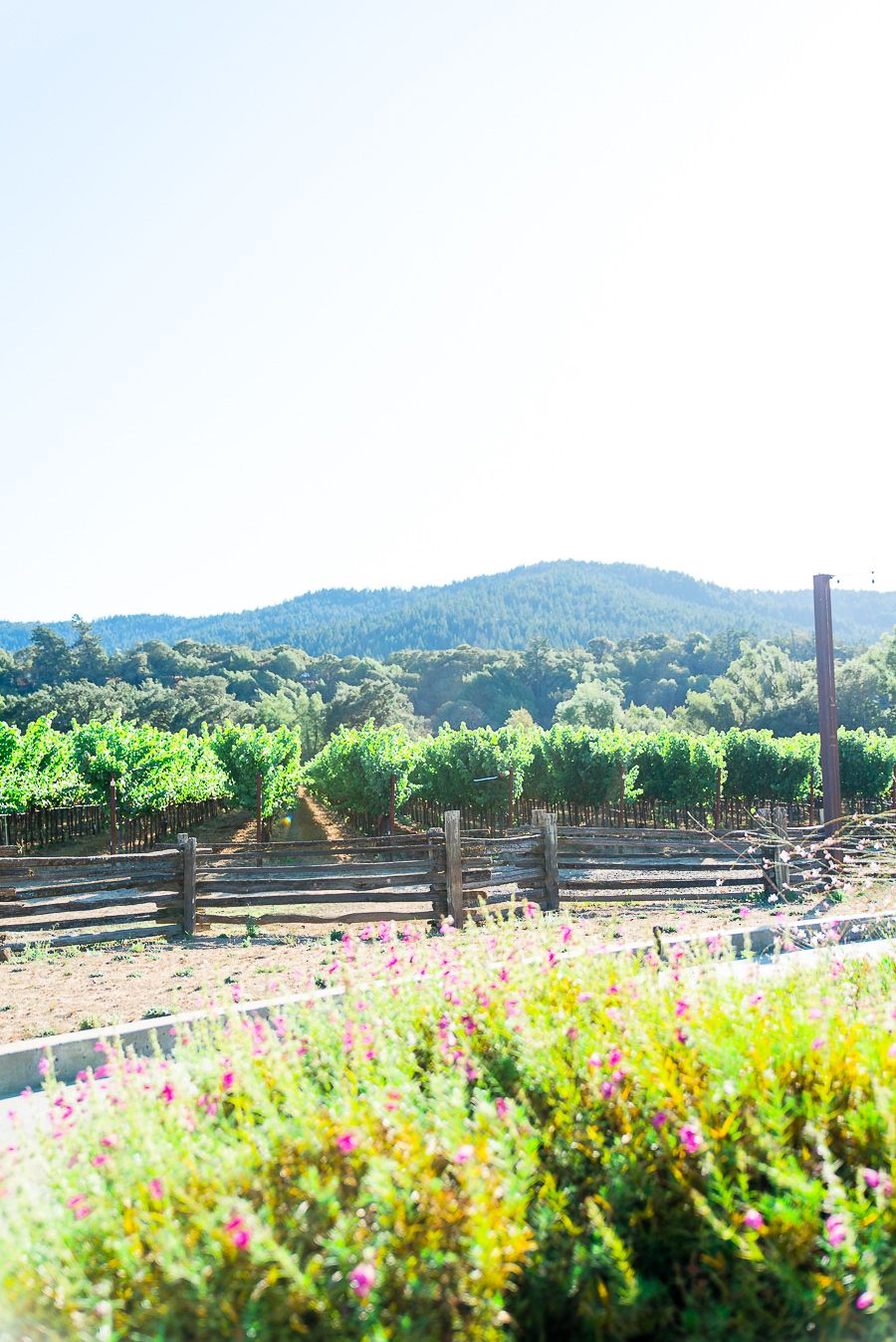view of Pennyroyal Farm in September