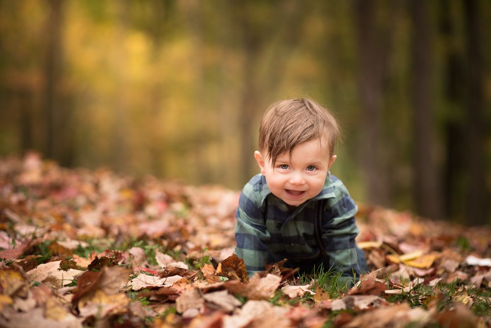 Portrait of a little boy outside in the fall leaves, taken by Laura Priestley in Morgantown, WV