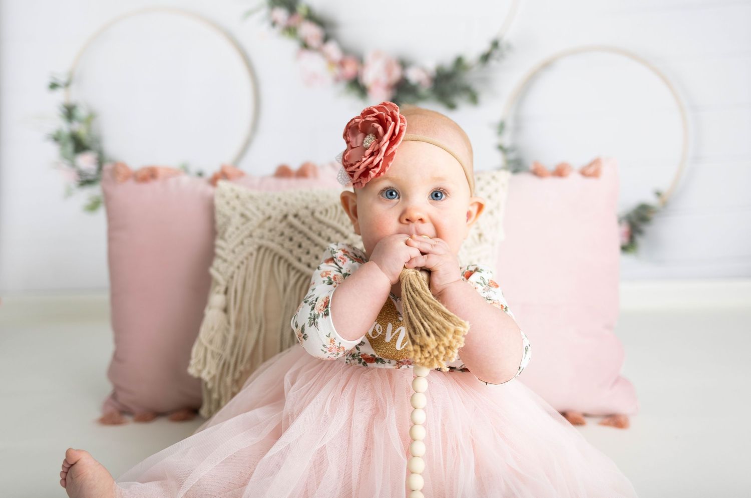 Cakesmash photographer, Pewaukee, Waukesha, Hartland, Milwaukee, Sussex, WI