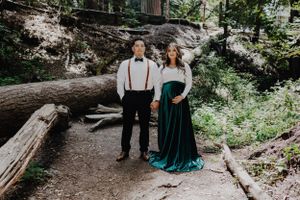 Santa Cruz maternity photographer, Santa Cruz engagement photographer, Henry Cowell photoshoot