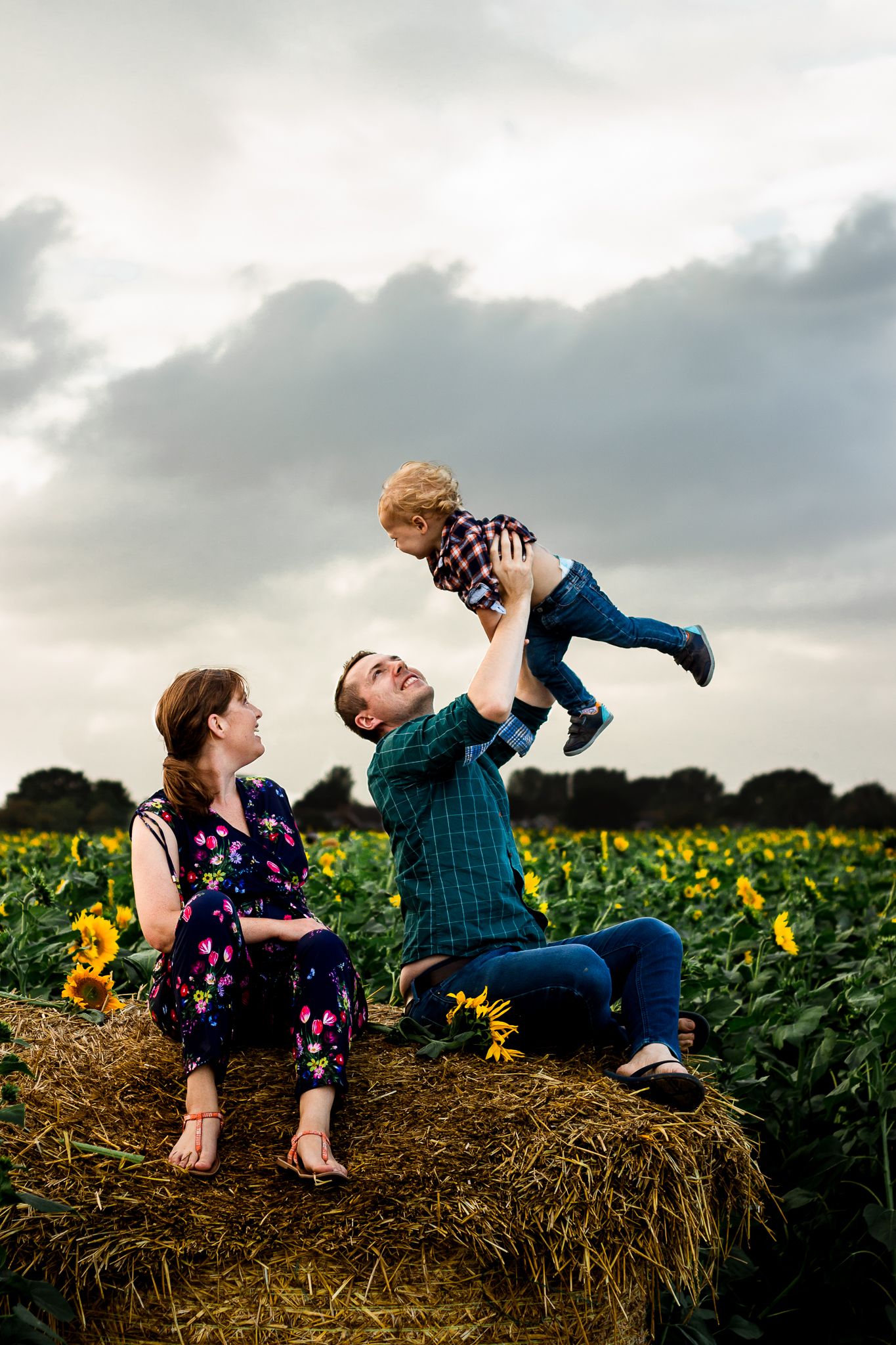 In a Sunflower field on Hayling Island a family sit on a haybale while Dad airplanes his Son into the overcast sky.