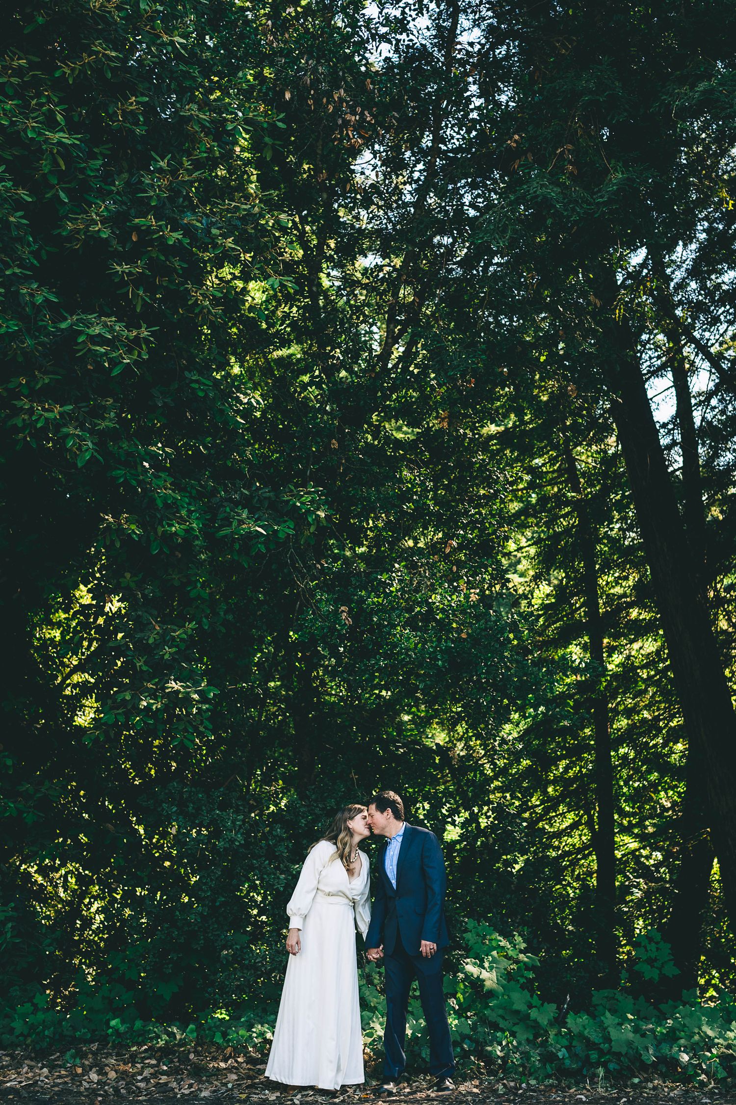 Bride and groom kissing with redwood trees in the background.