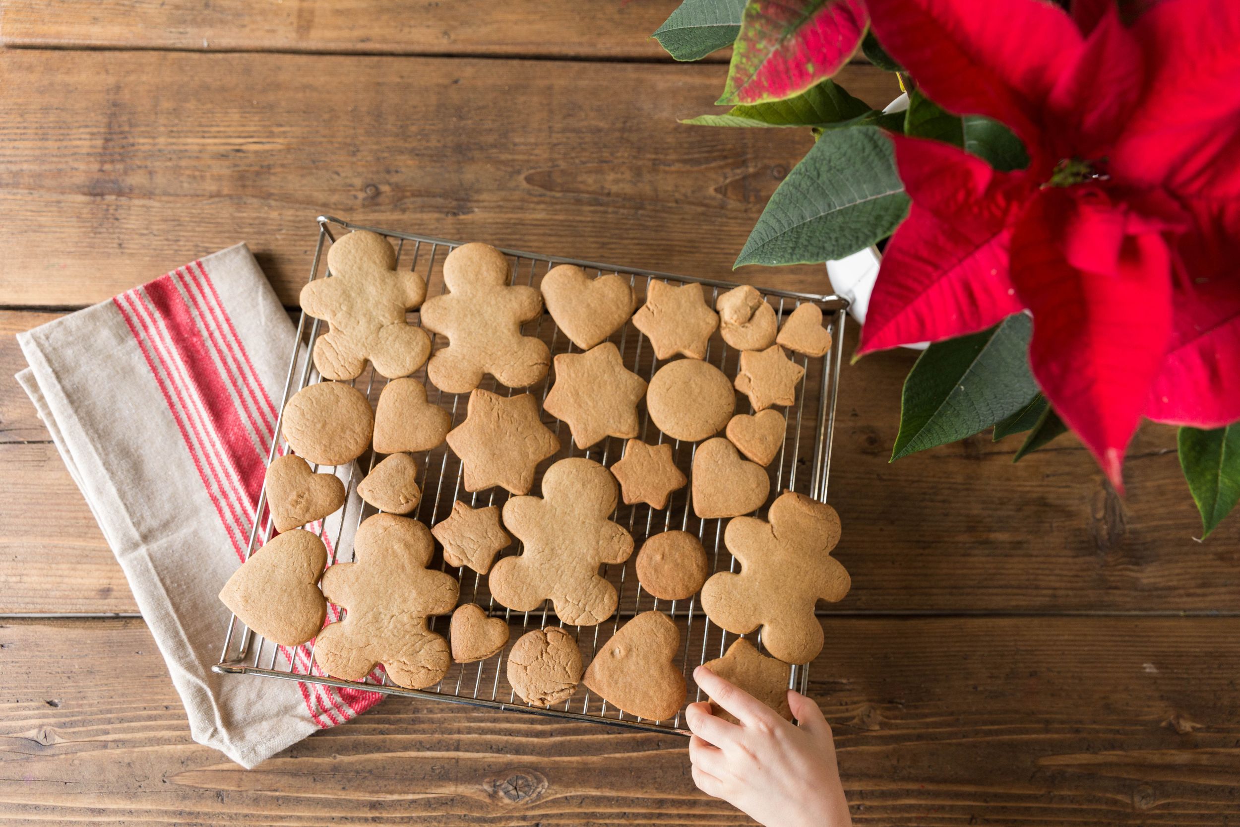 Christmas cookies on wooden kitchen table red poinsettia
