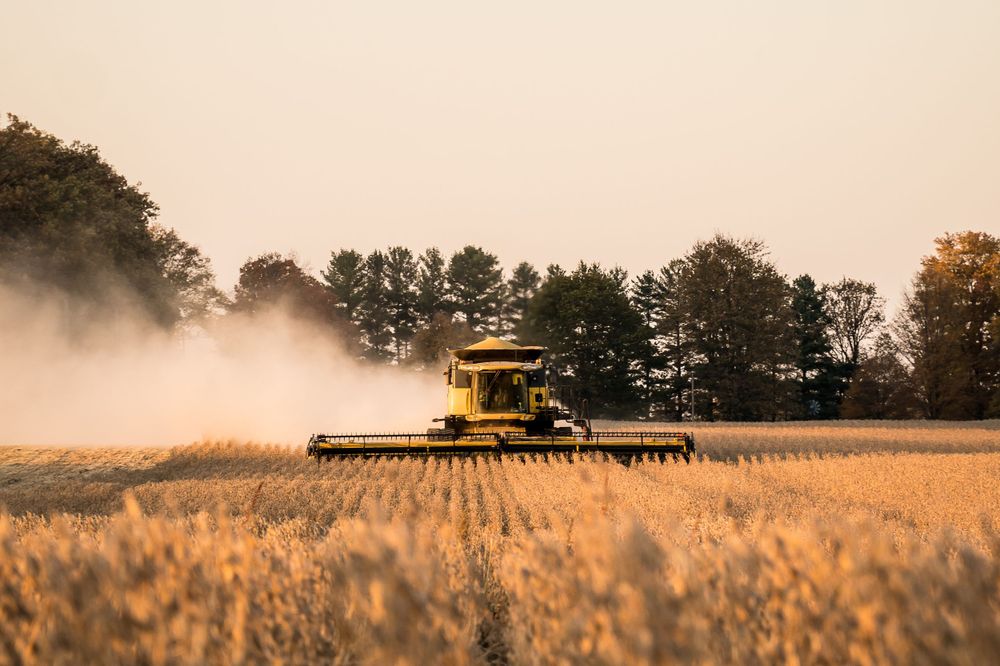 Silhouette of combine harvester working in golden wheat field during sunset.