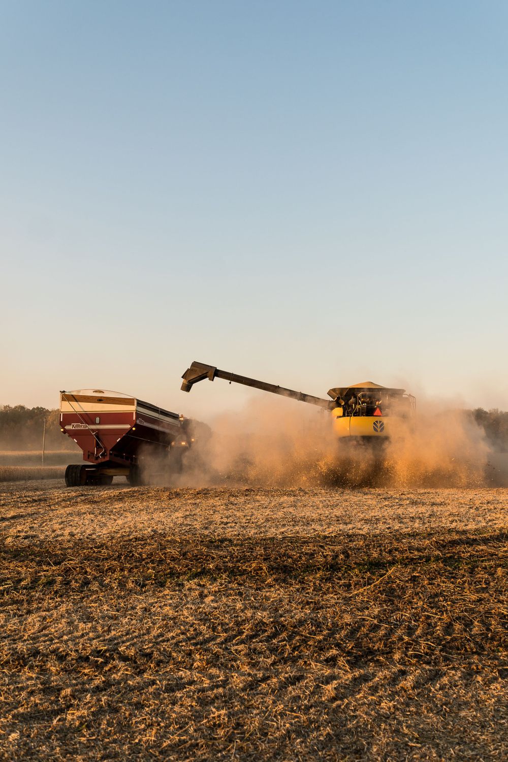 Combine harvester unloading grain into red wagon trailer while creating dust cloud.