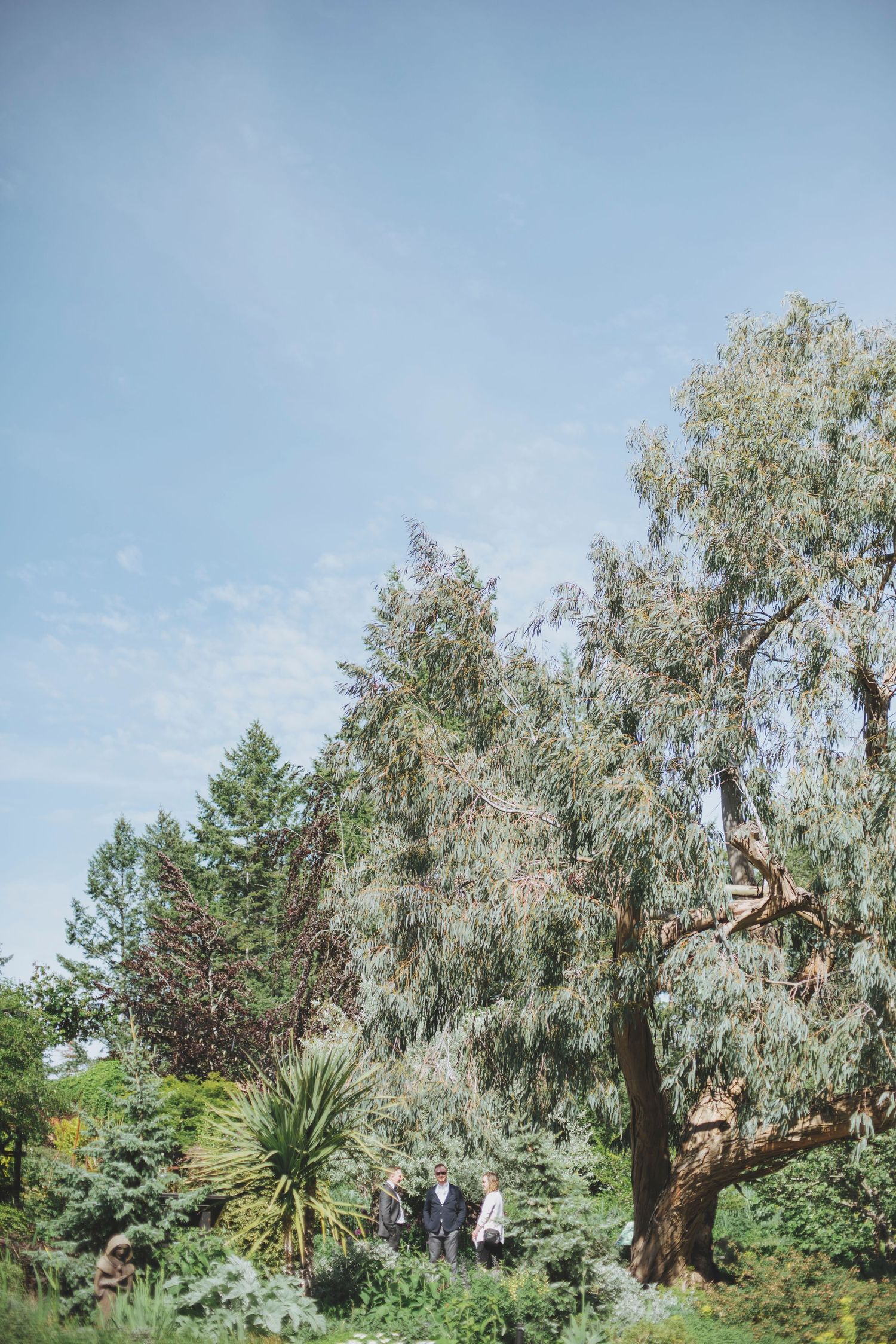 The Gardens at the Horticulture Centre of the Pacific. Andrea Collins Photography. Wedding Photography.