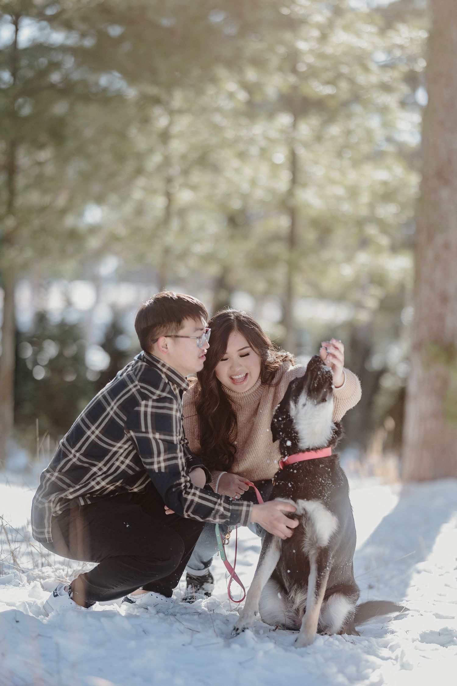 A couple plays with their black and white dog in the snow during a winter photoshoot.
