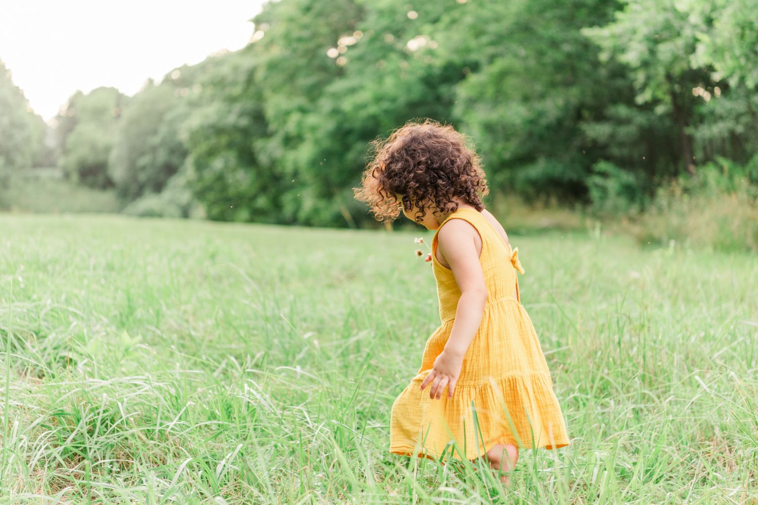 Little girl in yellow dress holding flowers walking through field in Pittsburgh, Pennsylvania