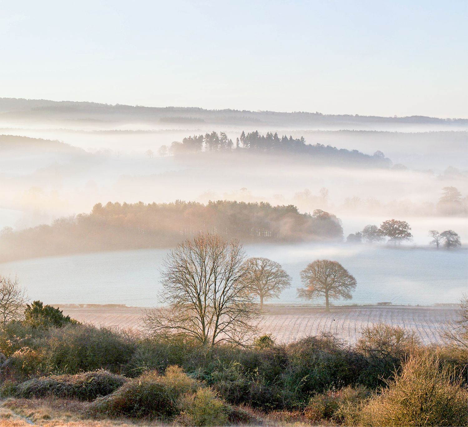 Newlands Corner, Surrey, on a misty morning
