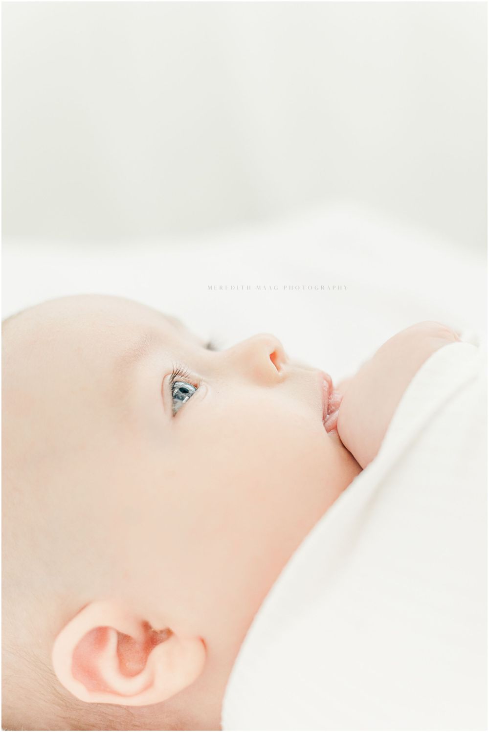 Newborn photography Kansas City | Meredith Maag Photography