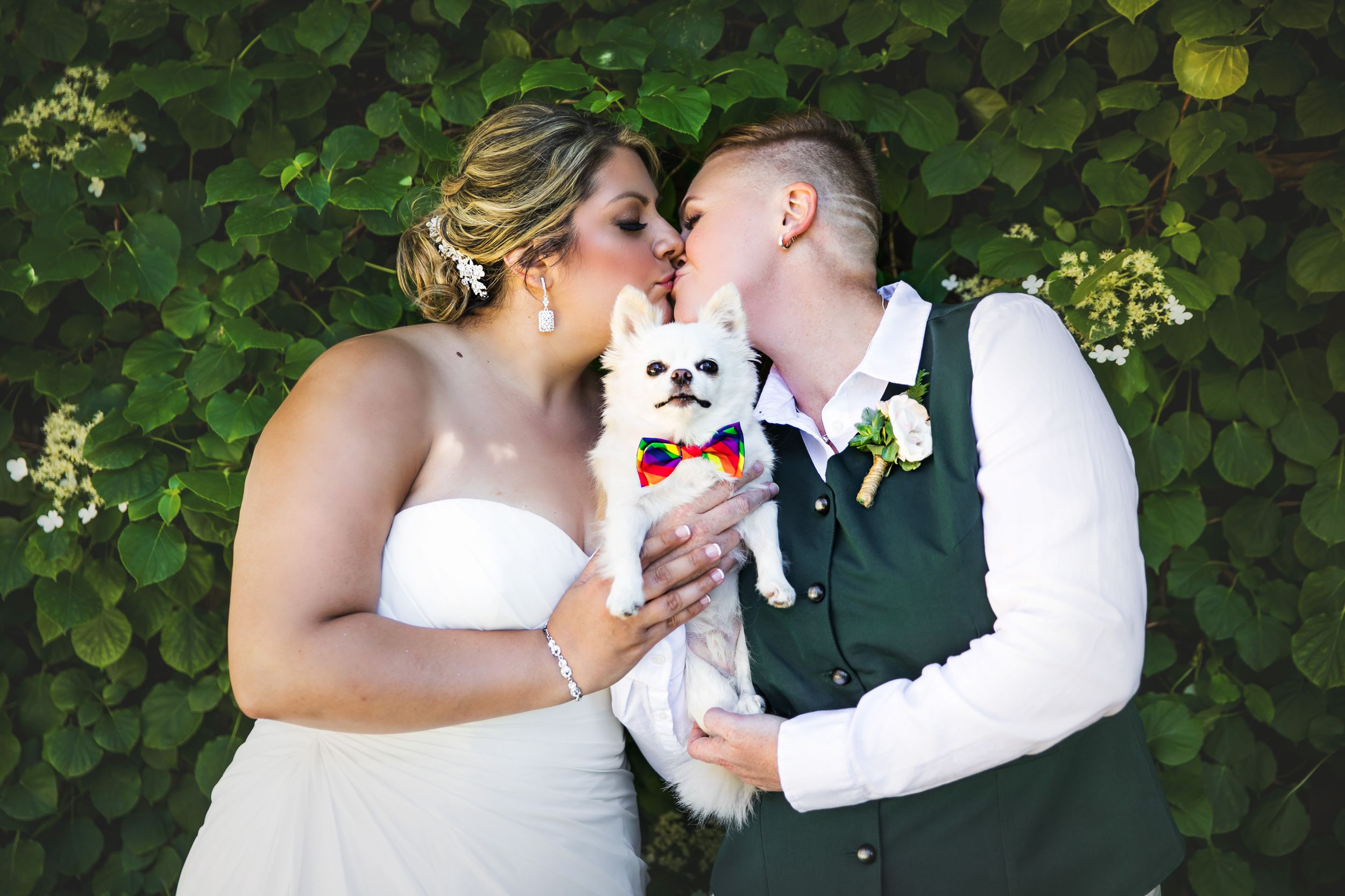 London Ontario Civic Gardens Wedding Photos