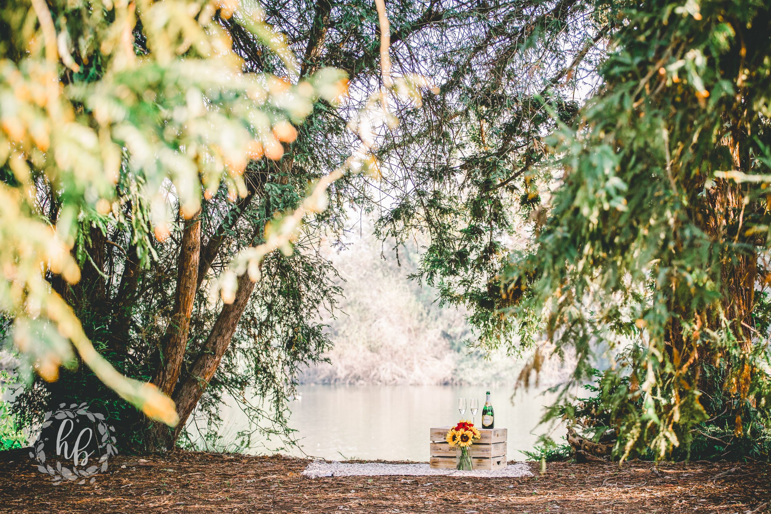 lakeside proposal engagement photos