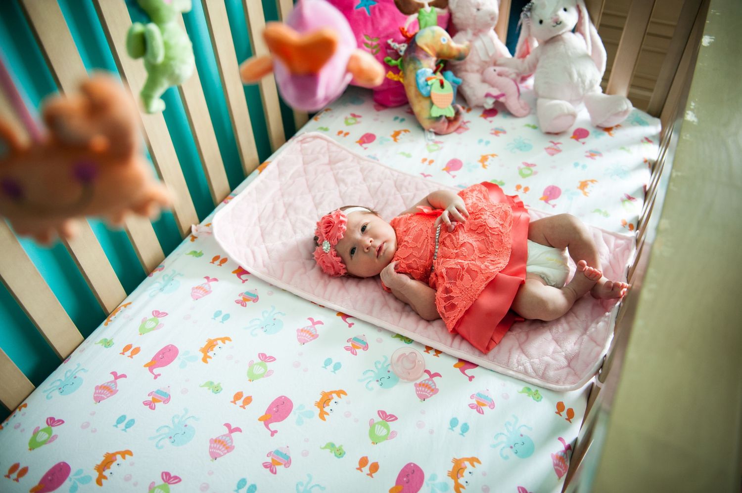 in home lifestyle newborn session naples florida